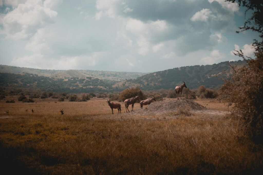 one-zone-studio-Edr2cBcMn-M-unsplash-1024x683 دول تمنع هذه الاشياء في مطاراتها- تعرف عليها