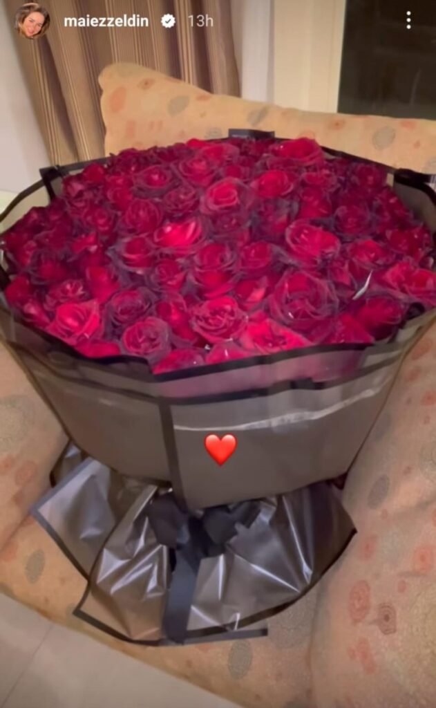 المنصة 100
