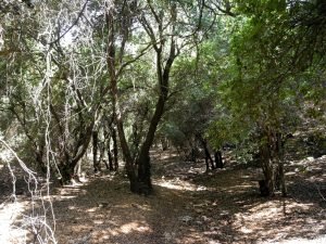 225 6 مغامرات سياحية عليك خوضها في الأردن