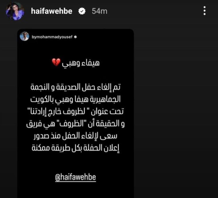 20253193223075851 هيفاء وهبي في أزمة- تفاصيل