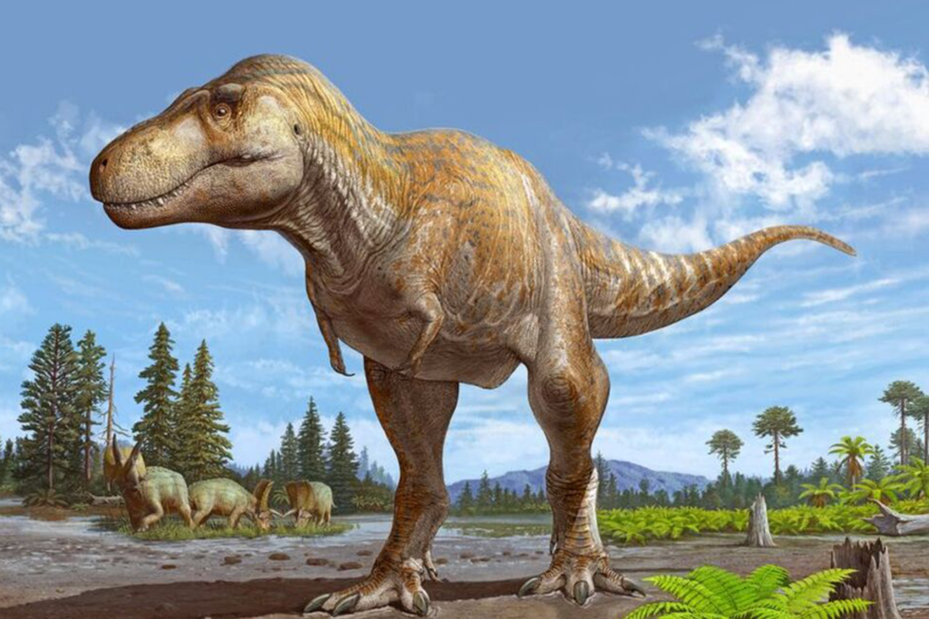 2000x1333_T_rex-1024x682 جلد الديناصورات لتصنيع المنتجات الفاخرة!