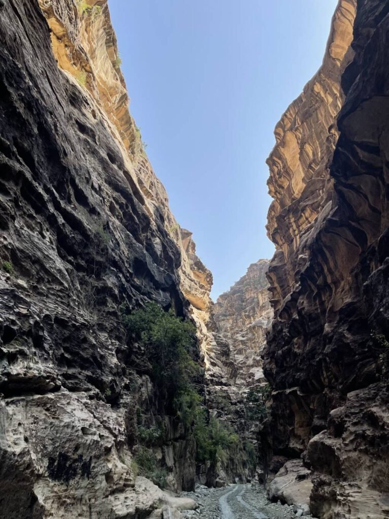 لعشاق-المغامرة-2-767x1024 لعشاق المغامرة .. أفضل وجهات Hiking في أبها