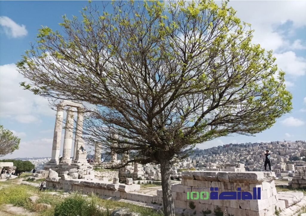 جبل القلعة - حلوة يا بلادي