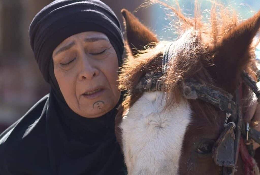 المنصة 100