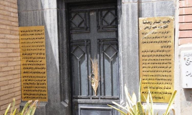 المنصة 100 